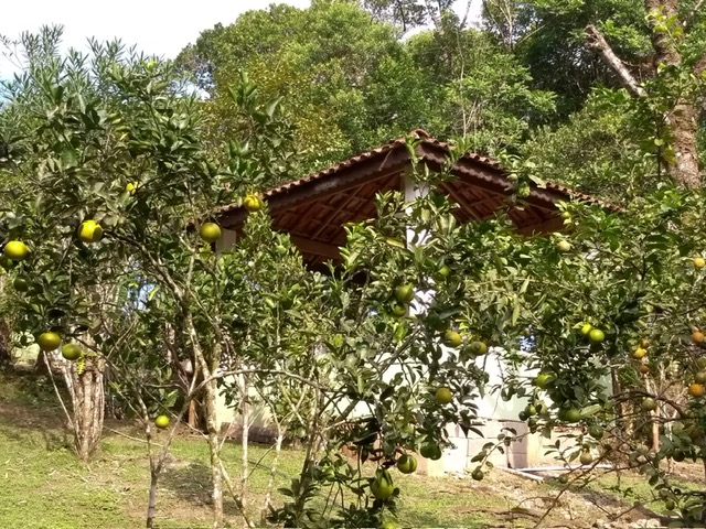 c4962298-e9b9-42c0-80e4-76cc757a36a0-2