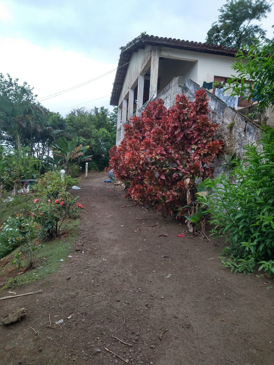 CHACARA BAIRRO MORRO SÃO JOÃO EM CANANEIA
