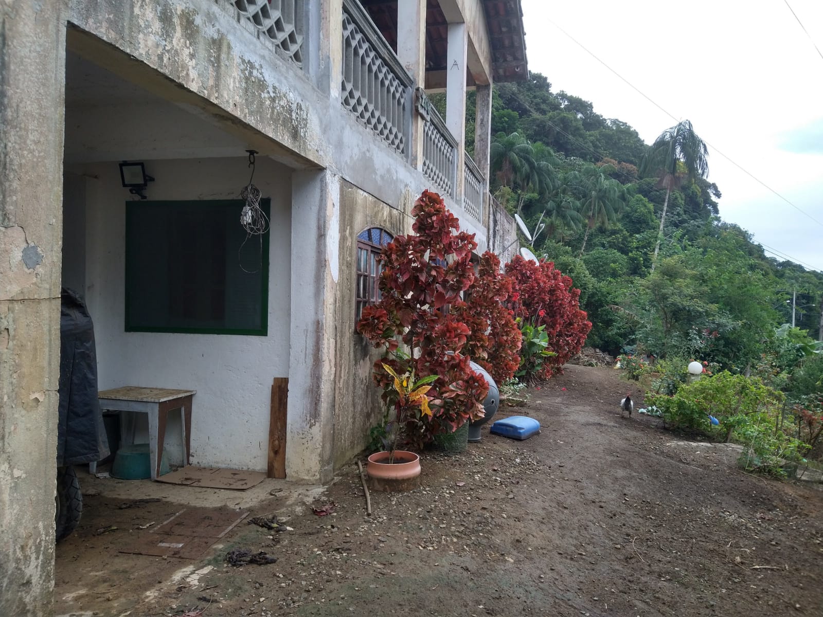 CHACARA BAIRRO MORRO SÃO JOÃO EM CANANEIA