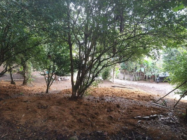 CHACARA BAIRRO MORRO SÃO JOÃO EM CANANEIA