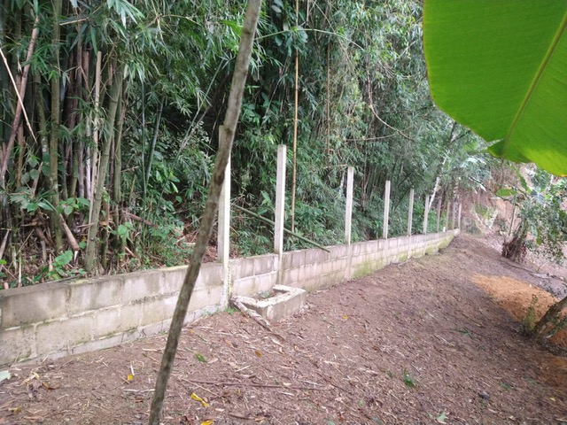 CHACARA BAIRRO MORRO SÃO JOÃO EM CANANEIA