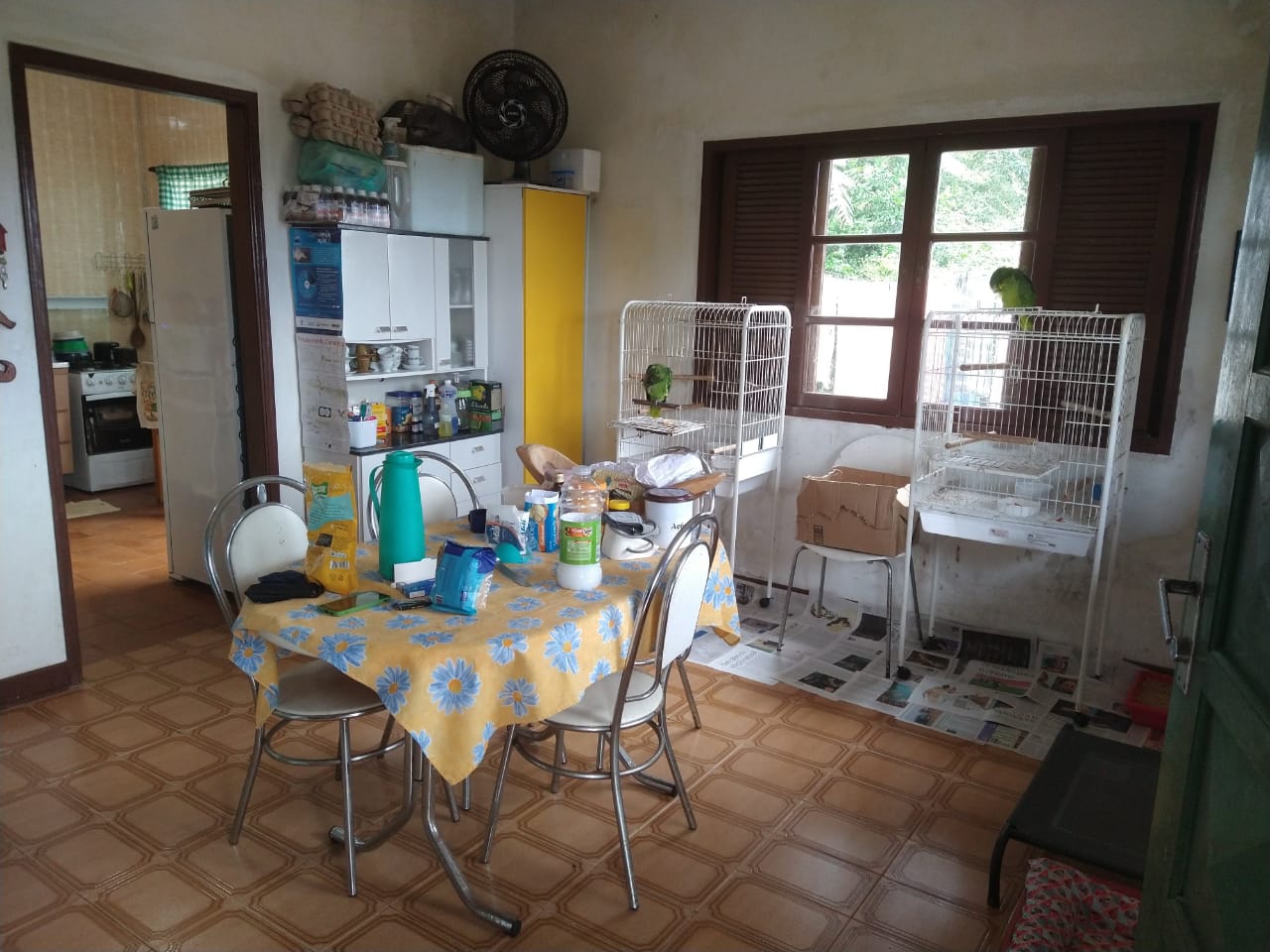 CHACARA BAIRRO MORRO SÃO JOÃO EM CANANEIA