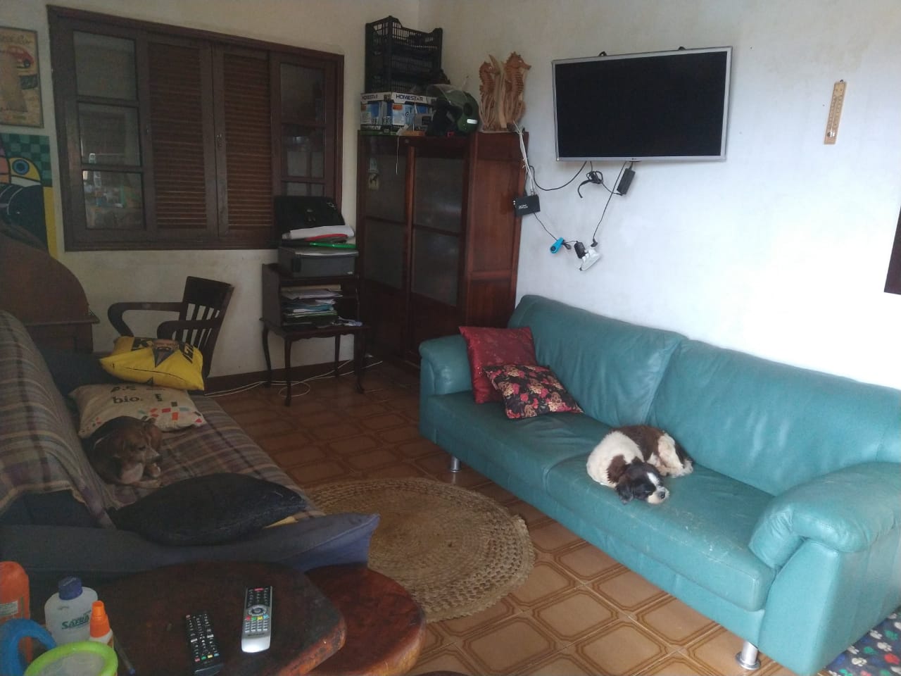 CHACARA BAIRRO MORRO SÃO JOÃO EM CANANEIA